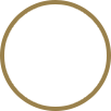 Coin with an umbrella on top of it icon - wealth connection service icon