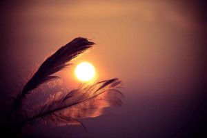 Financial Pearls of Wisdom - Wealth Connexion - Retirement Planning Strategies Brisbane