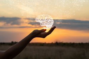 Hand in sunset with a brain icon - What's On My Mind - Wealth Connexion blog image