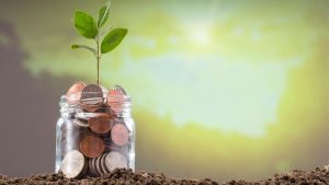A glass jar full of coins with a plant sprout on top - Wealth Connexion blog image