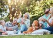 Happy big family, park picnic and love bonding, happiness and joy for reunion together smile in outdoor nature. Elderly Grandparents, mother and dad playing outside with excited girl children or kids
